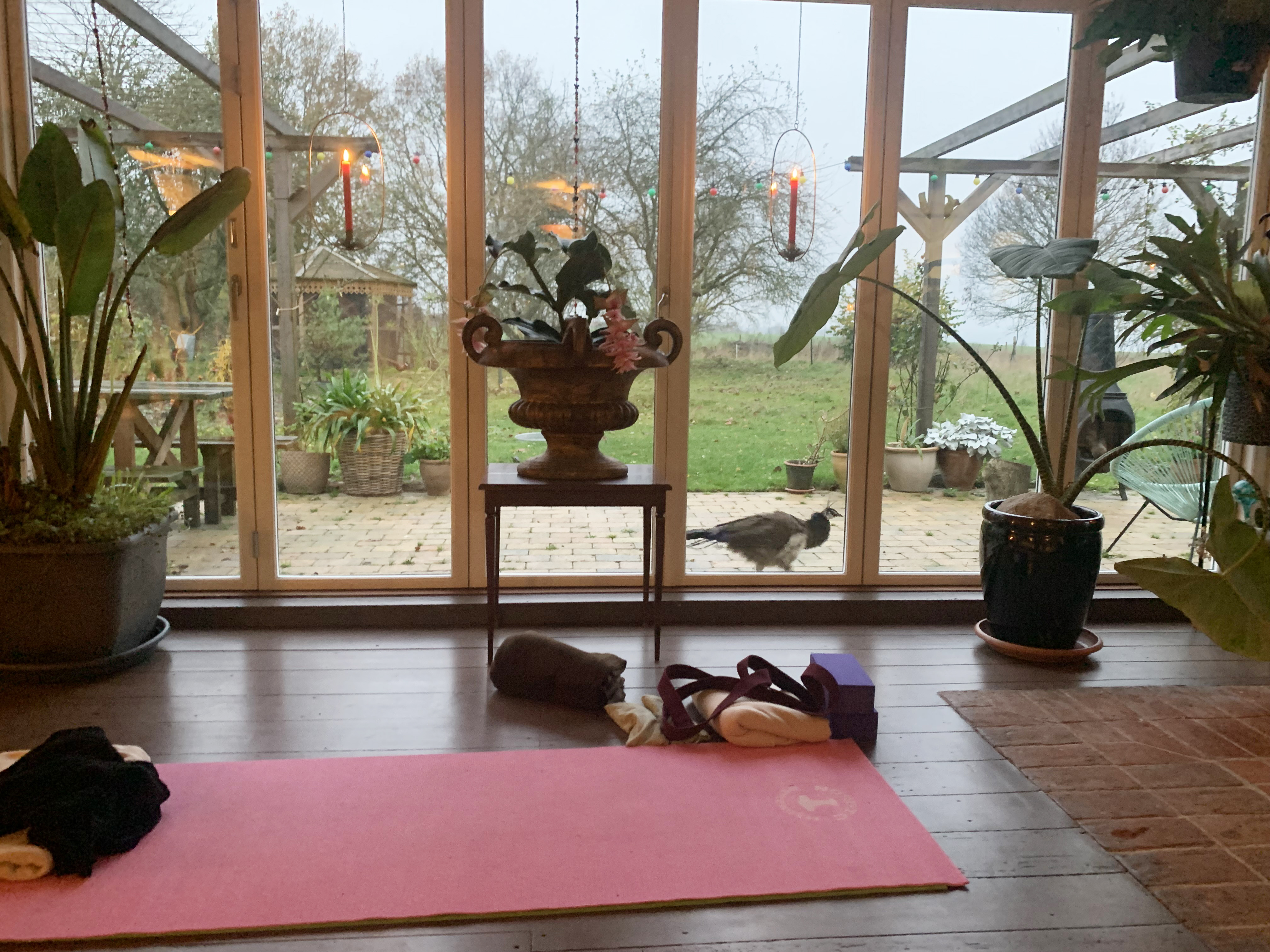 Forårs yoga retreat med Vibeke Frydenlund